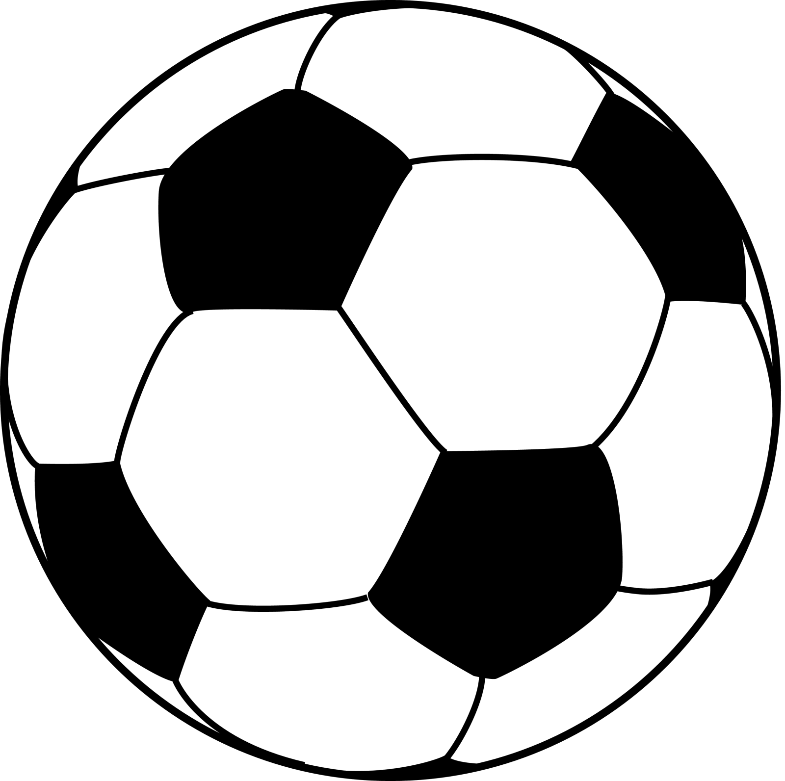 a soccer ball on a white background