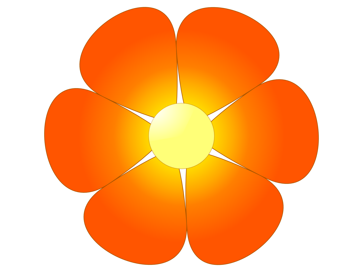 an orange flower on a white background