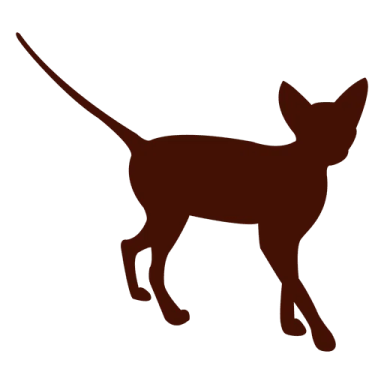 a brown cat silhouetted on a white background