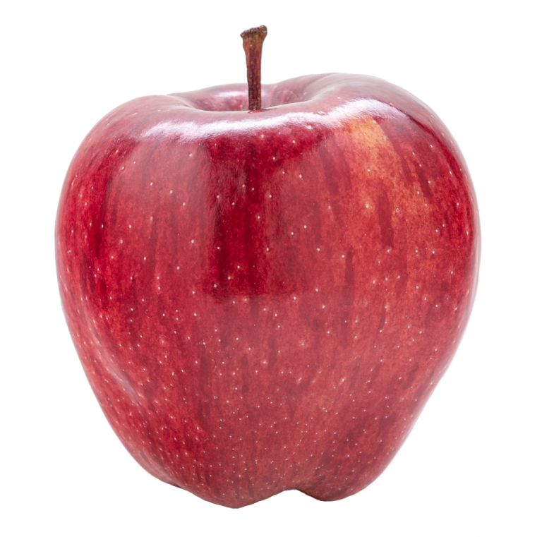 a red apple on a white background