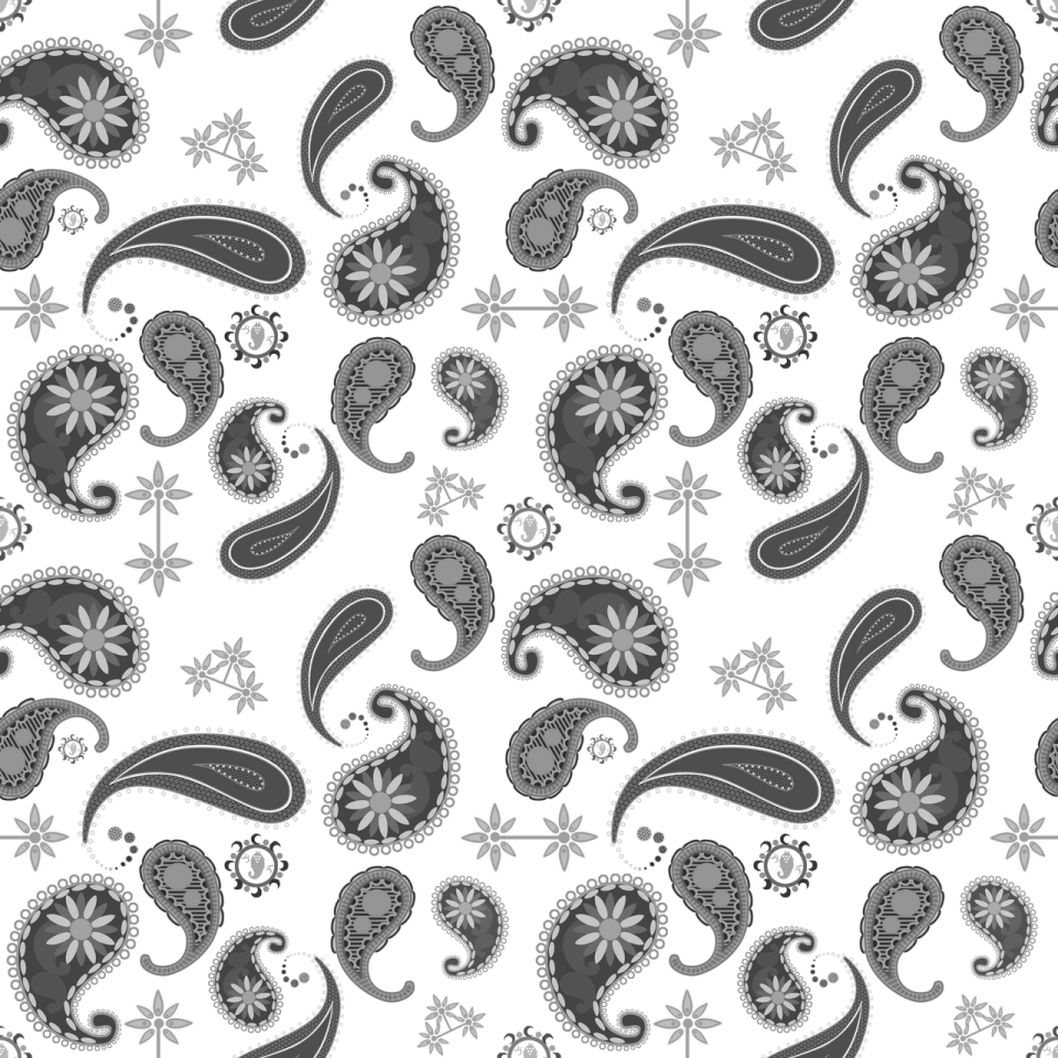 a paisley pattern on a white background