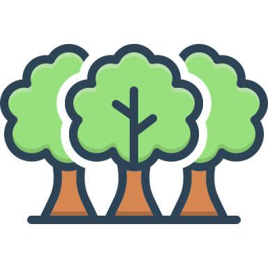 a row of trees