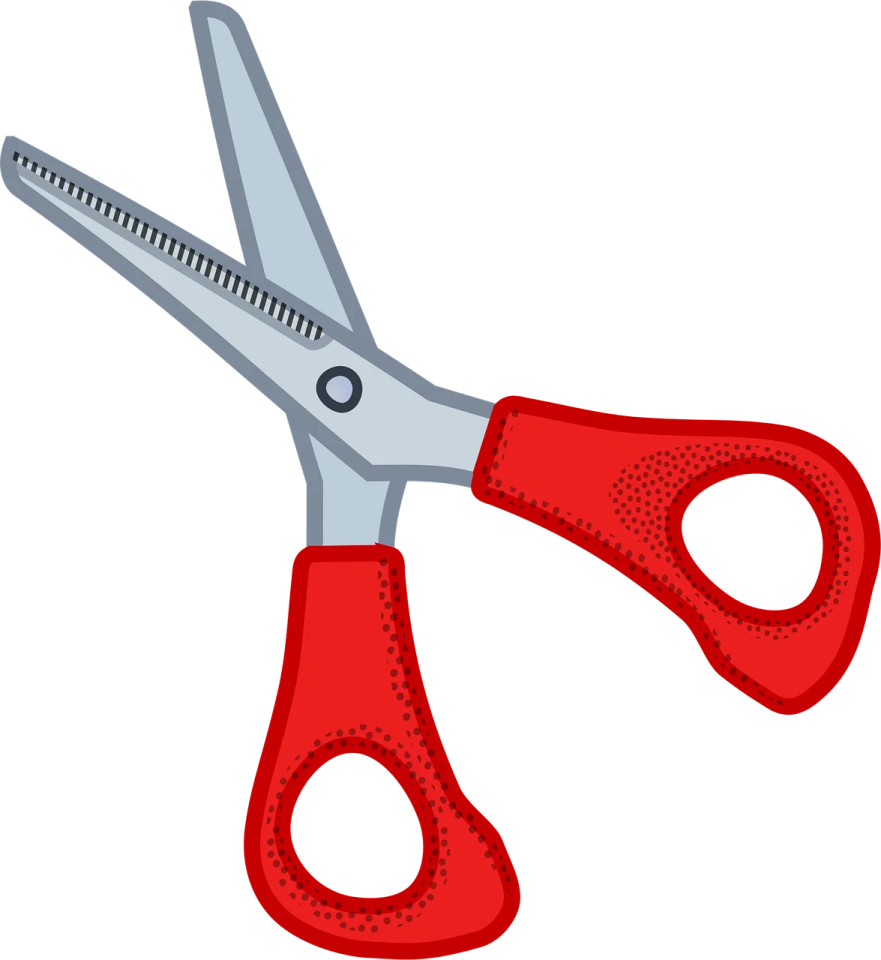 a pair of scissors