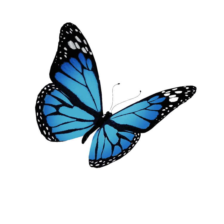 a blue butterfly on a white background