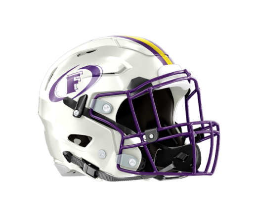 the minnesota vikings football helmet