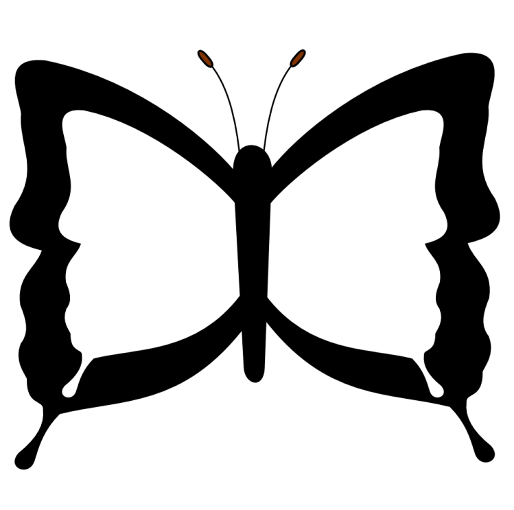 a black and white butterfly on a white background