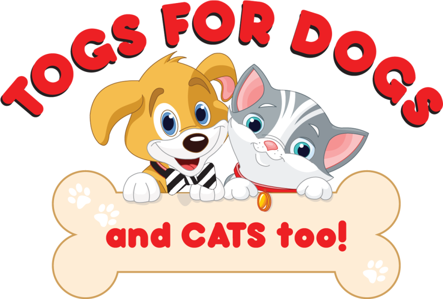 a dog and cat sitting on top of a bone