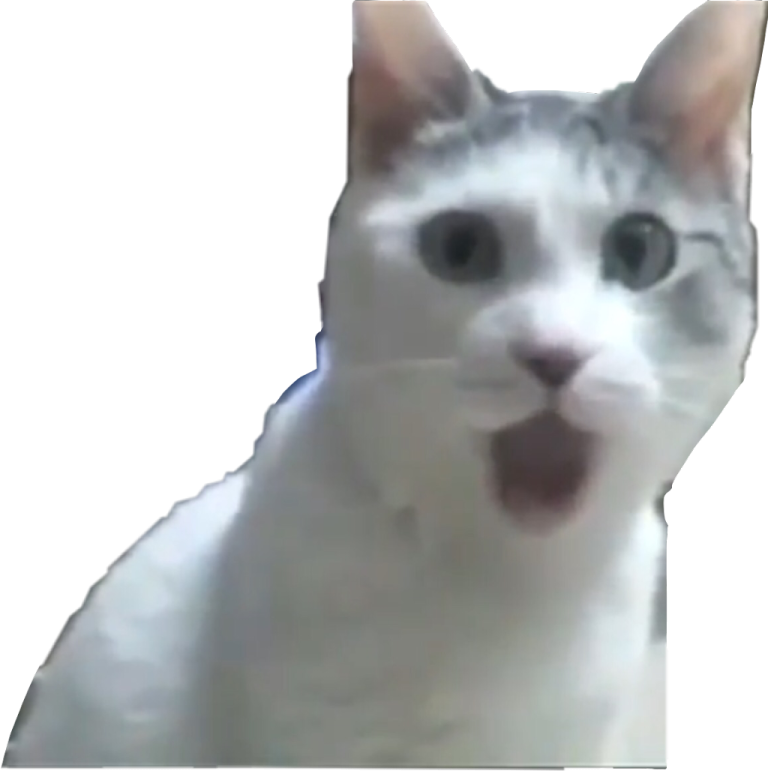 a cat with its tongue sticking out