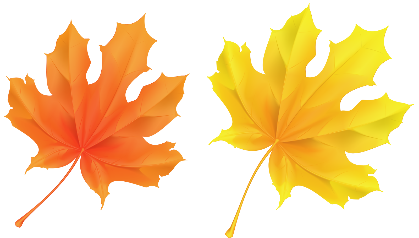 a pair of autumn leaves
