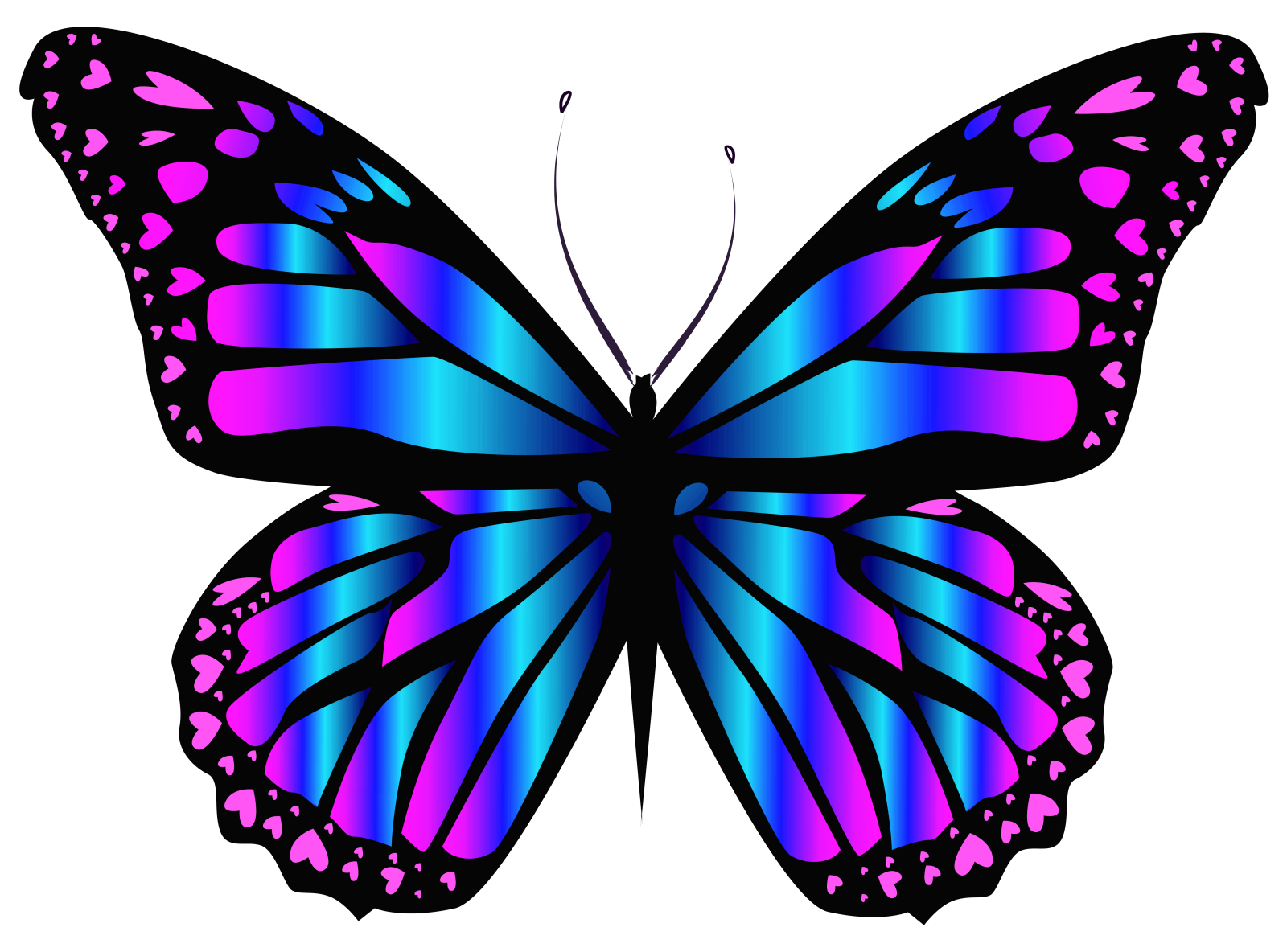 a purple butterfly with blue and pink wings