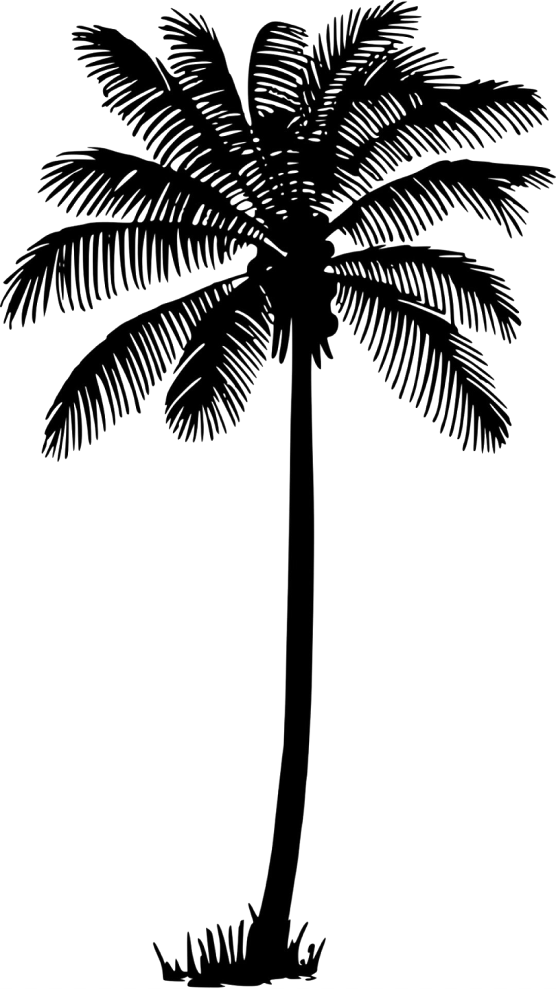 a black and white silhouette of a palm tree
