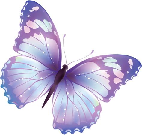 a purple butterfly on a white background