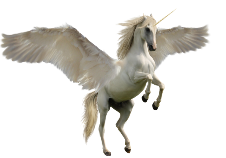 a white unicorn with wings