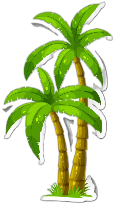 two palm trees on white background