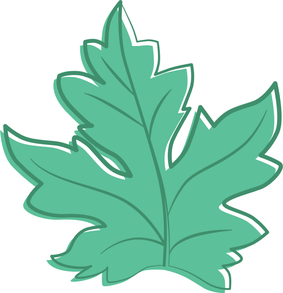 a green leaf