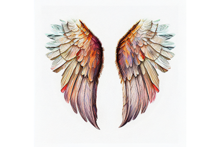 a pair of wings on a white background