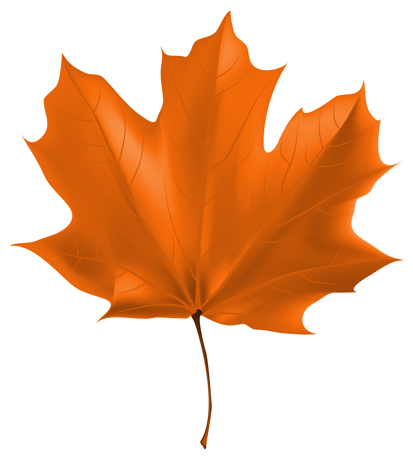 a maple leaf on a white background