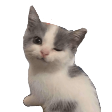 a gray and white kitten sitting on the ground