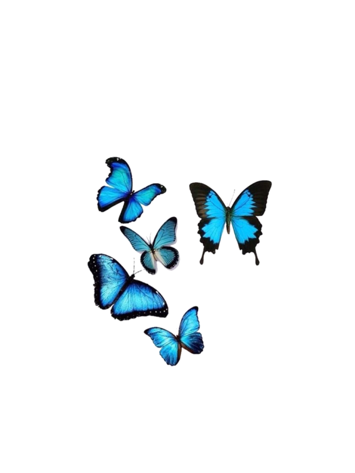 a group of blue butterflies flying in the air