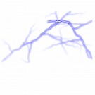 the cover of a book with an image of two branches