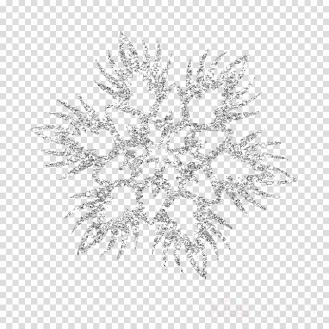a snowflake on a transparent background