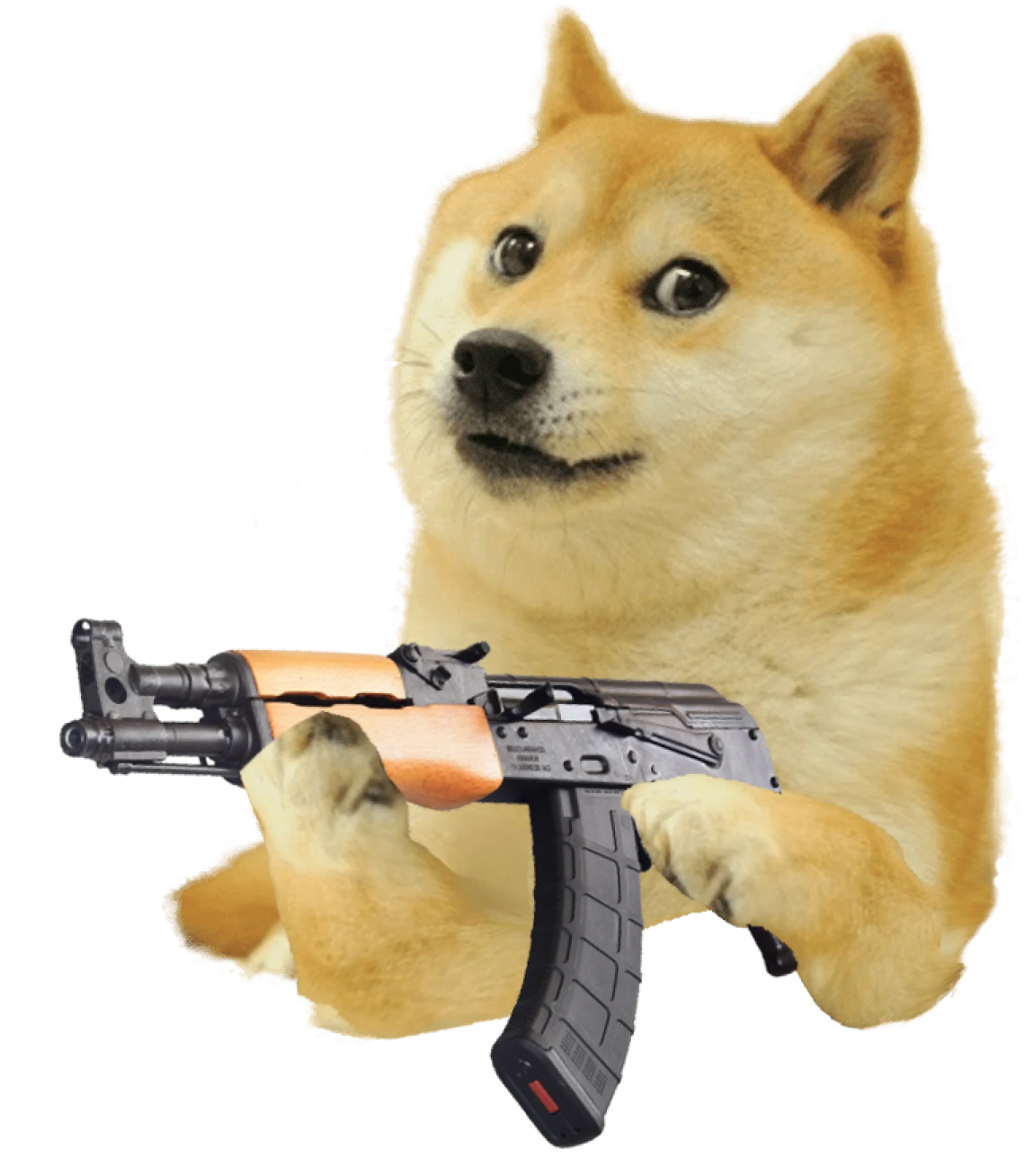 a dog with a gun in its mouth