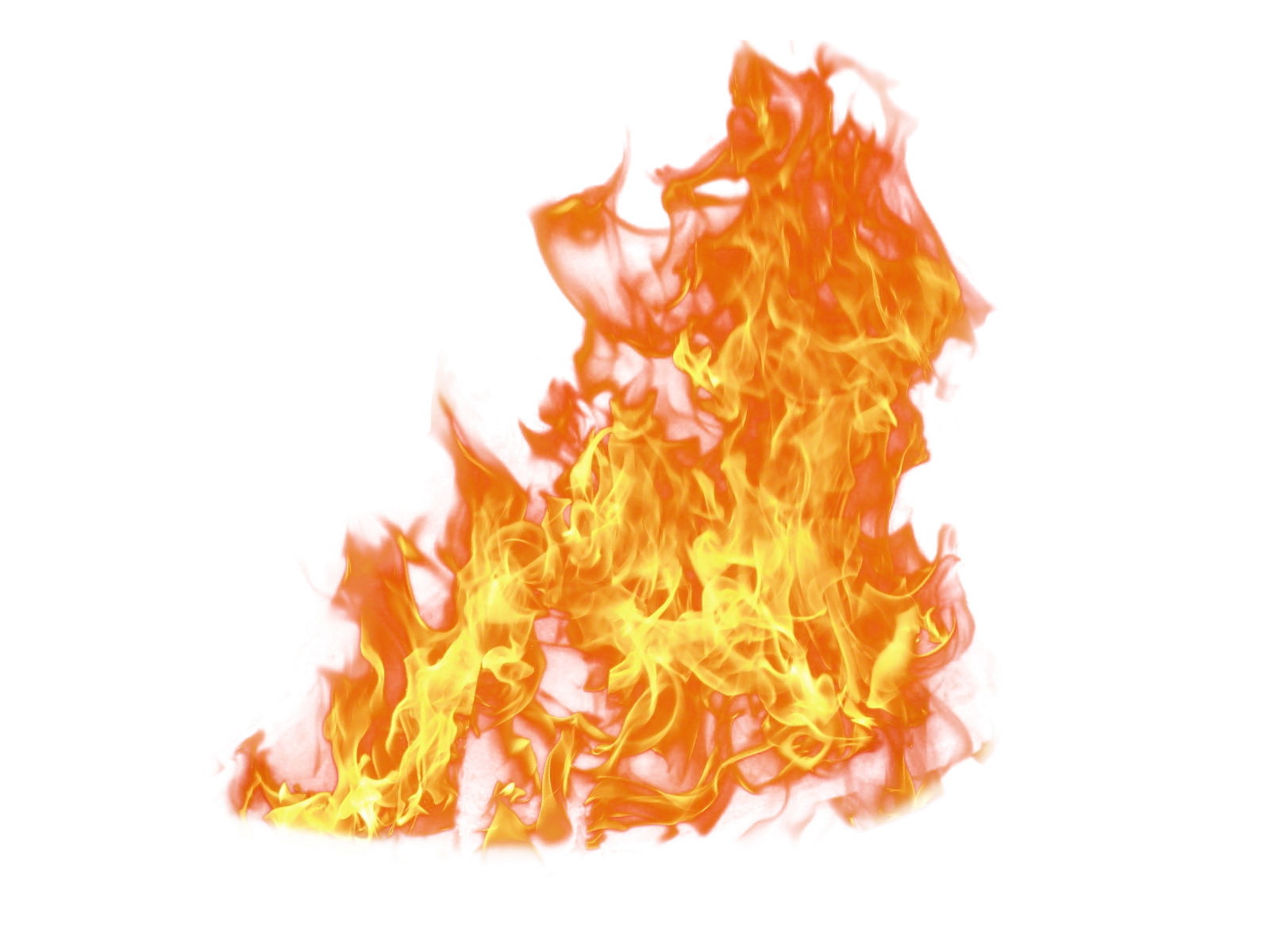 fire flames on a white background