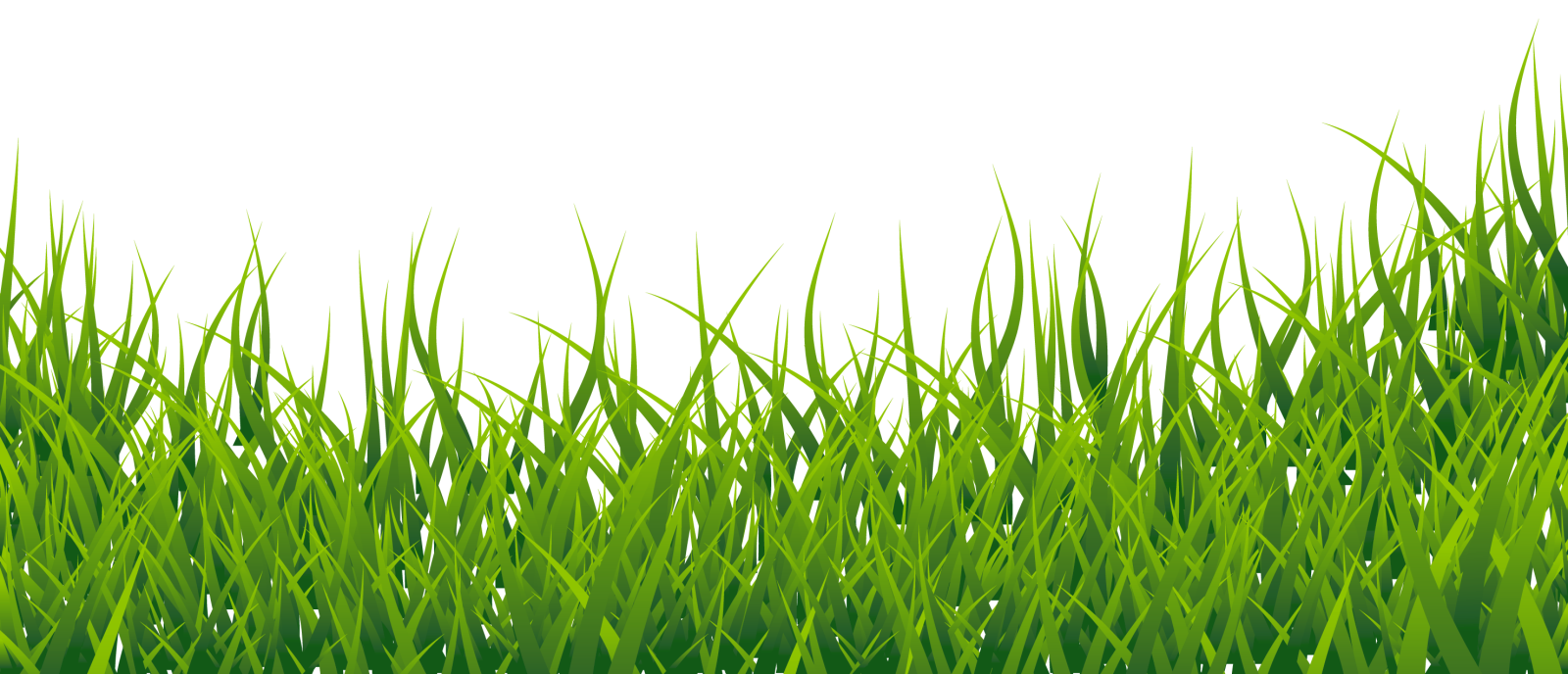 a green grass background