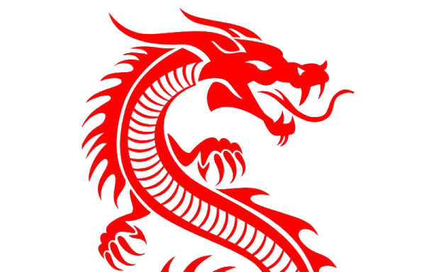 a red dragon tattoo design