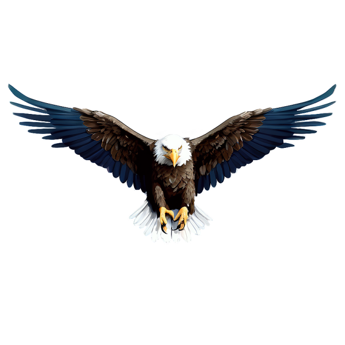 an eagle flying with its wings spread out