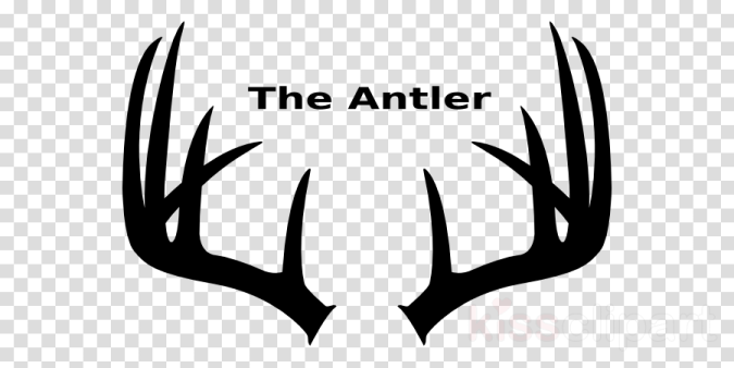 the anter logo on a white background