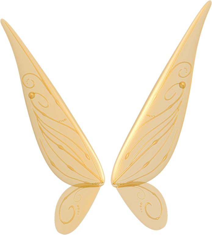 a pair of gold butterfly wings