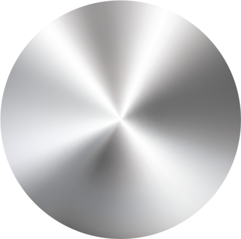 a silver button with a white background
