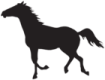 a silhouette of a horse