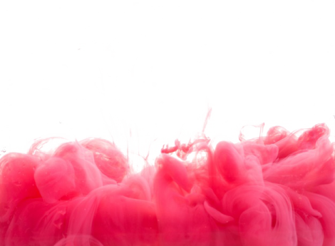 pink feathers on a white background