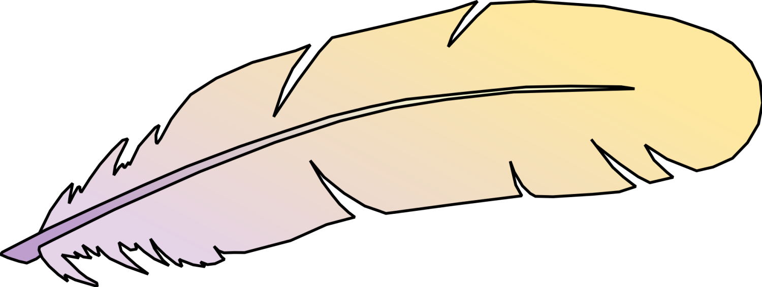 a feather on a white background