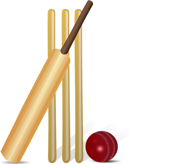 a cricket bat and ball