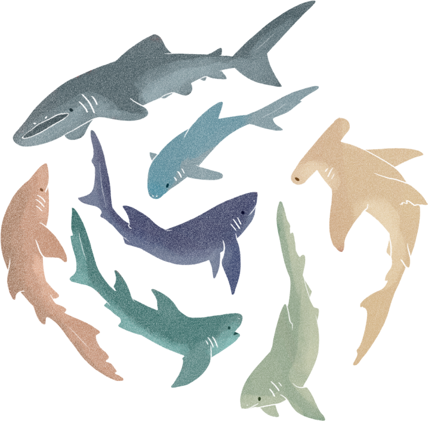 a group of fish swimming in a circle