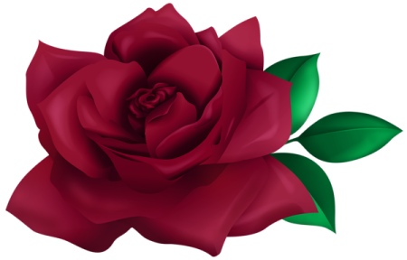 a red rose with green leaves