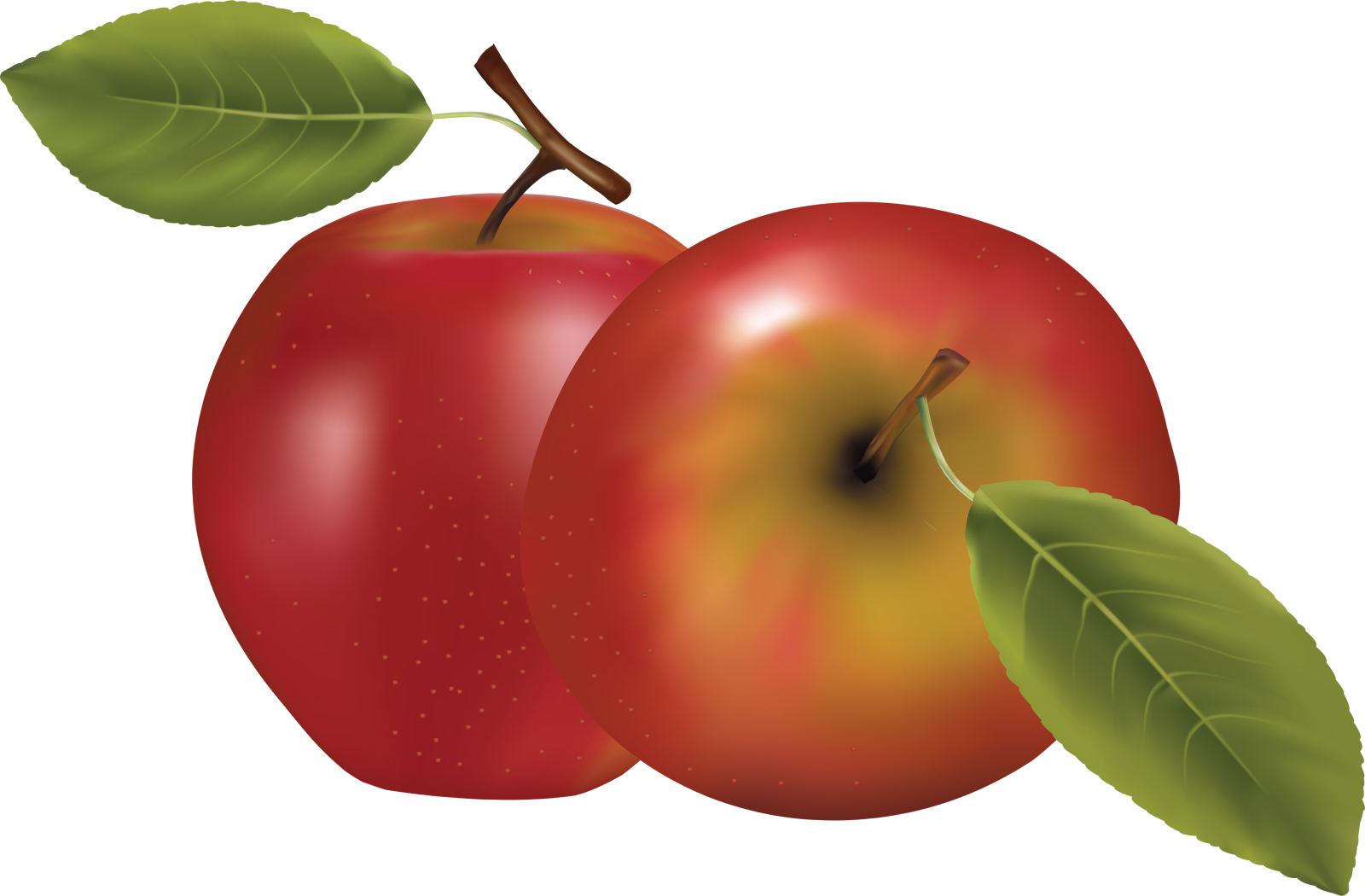 two red apples with green leaves