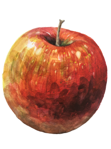 a painting of an apple on a white background