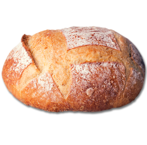 a loaf of bread on a white background