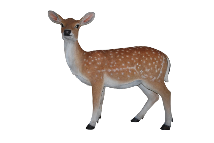 a small deer standing in front of a white background