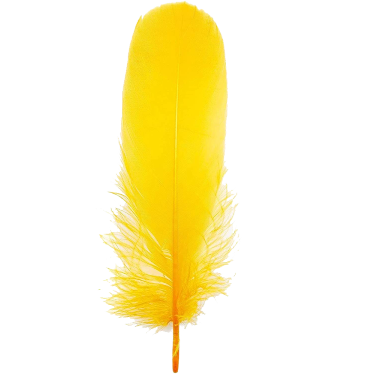 a yellow feather on a white background