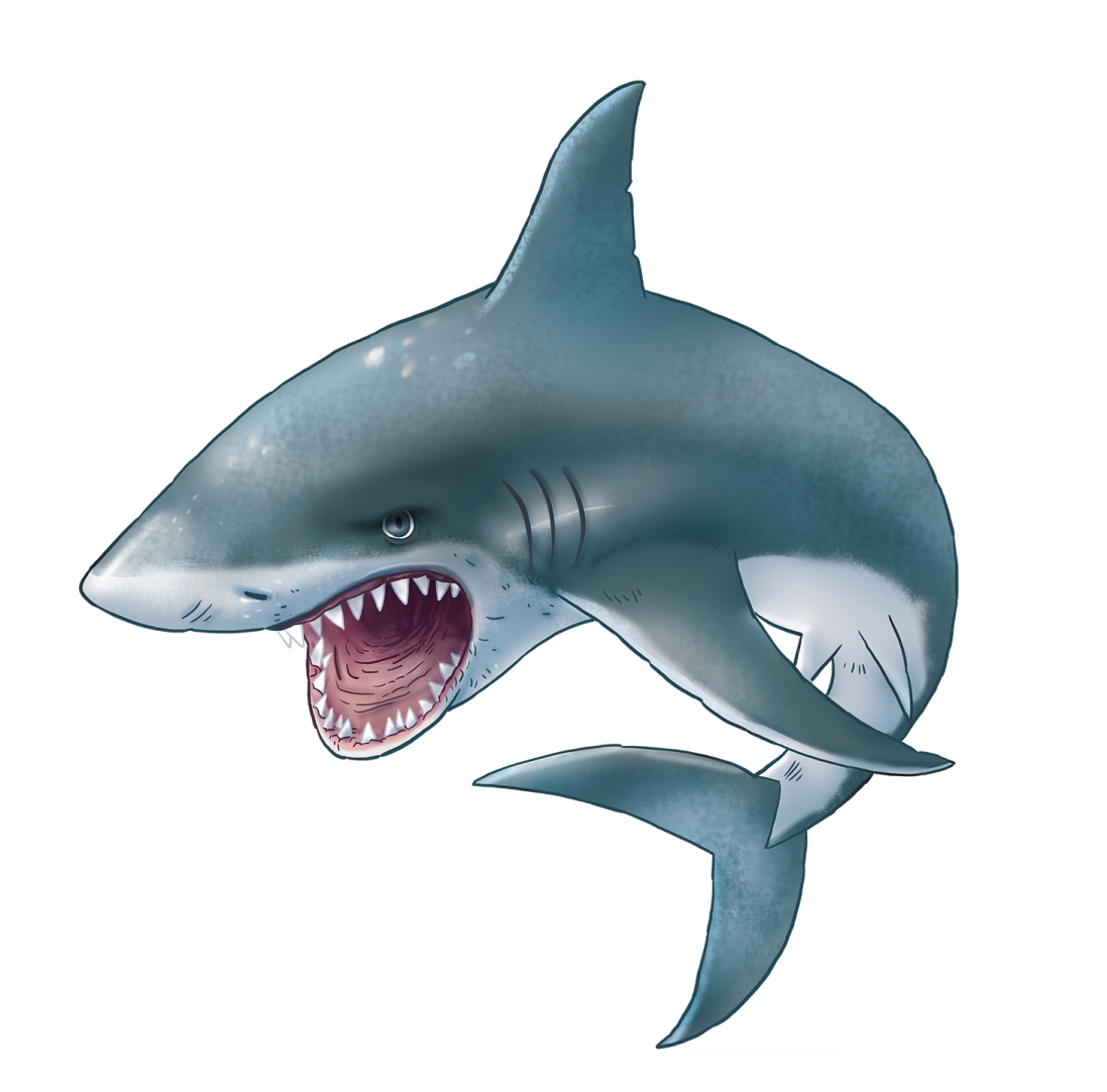 a drawing of a shark with its mouth open
