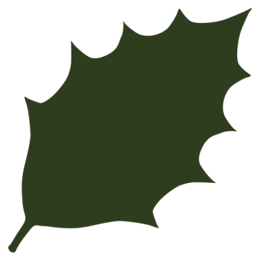 a green leaf
