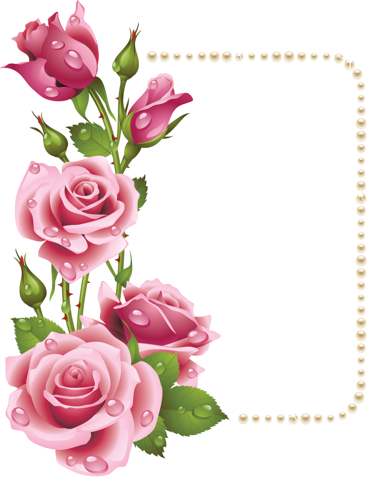 a frame with pink roses and pearls