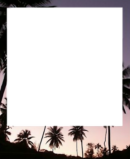 a picture frame with palm trees in the background