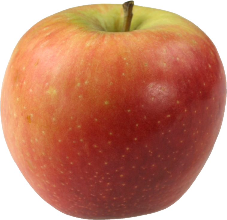 an apple on a white background