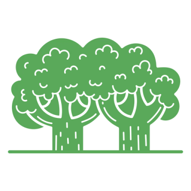 a group of trees with green leaves